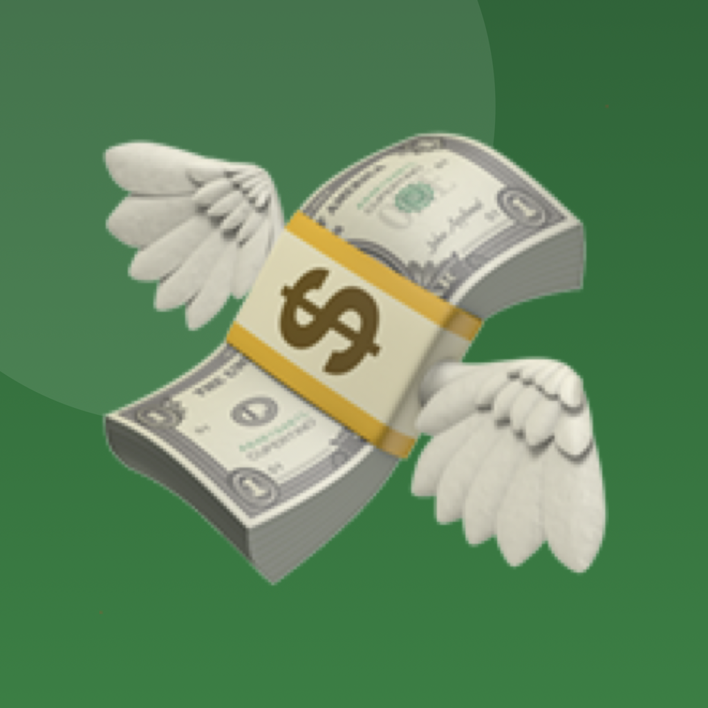Debt Payoff Planner app icon